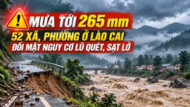 Mưa tới 265 mm, 52 xã, phường ở Lào Cai đối mặt nguy cơ lũ quét, sạt lở