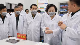 Phó Thủ tướng Phạm Thị Thanh Trà kiểm tra công tác giám định ADN, xác định danh tính hài cốt liệt sĩ