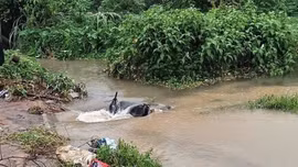 Tìm thấy thi thể nam sinh bị cuốn xuống cống ở Hà Nội