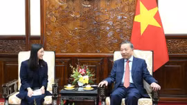 Đưa quan hệ Đối tác chiến lược toàn diện Việt Nam-Hoa Kỳ tiếp tục phát triển thực chất, hiệu quả