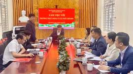 Ban Tổ chức Tỉnh ủy giám sát công tác tổ chức xây dựng Đảng tại Ngũ Chỉ Sơn