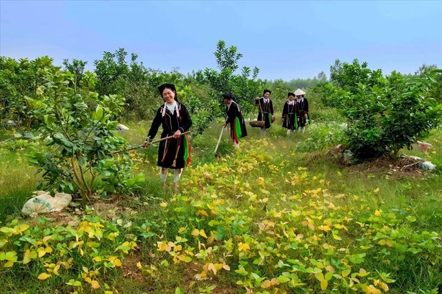 bai-chinh-031f.jpg