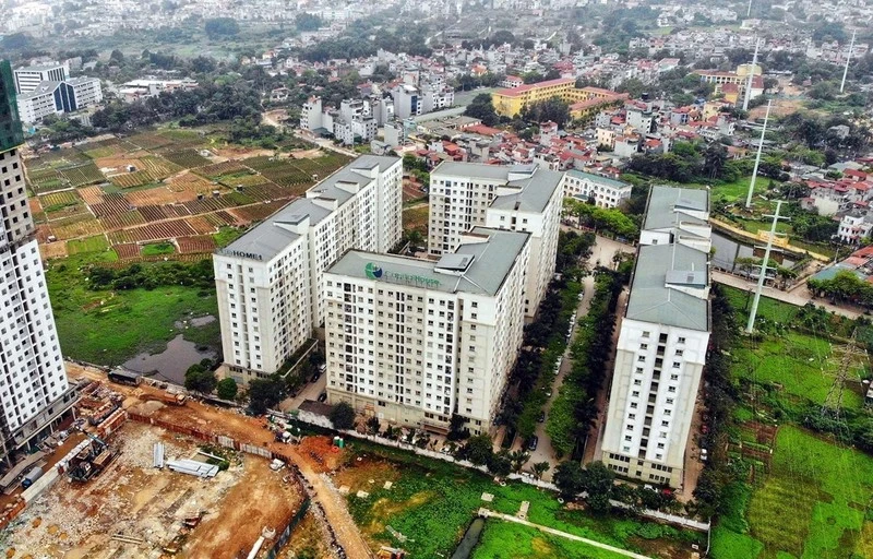 Ảnh minh họa.
