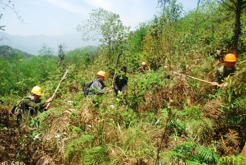 Kiểm lâm Vườn quốc gia Hoàng Liên chủ động phòng, chống cháy rừng khi gió nóng "Ô Quý Hồ" gia tăng.