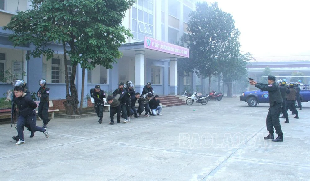 hinh-anh-trong-dien-tap-8784-7949.jpg
