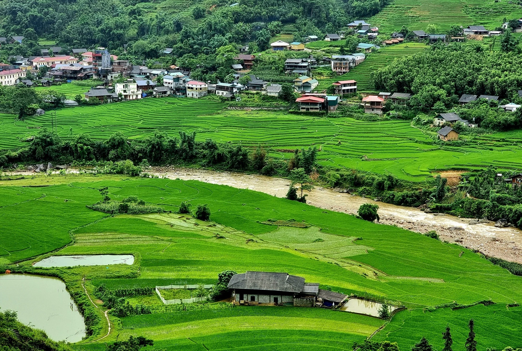 Suối Mường Hoa quanh co, ôm lấy bản Tả Van.