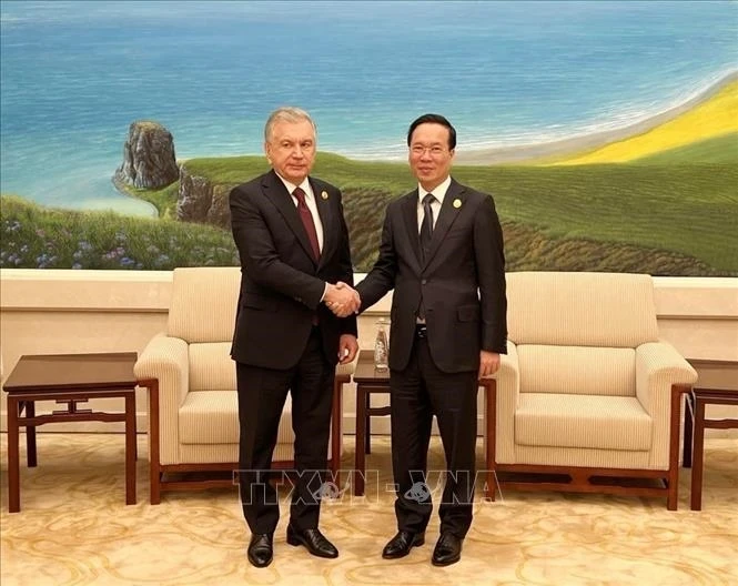 Chủ tịch nước Võ Văn Thưởng trong cuộc gặp với Tổng thống Uzbekistan Shavkat Mirziyoyev.