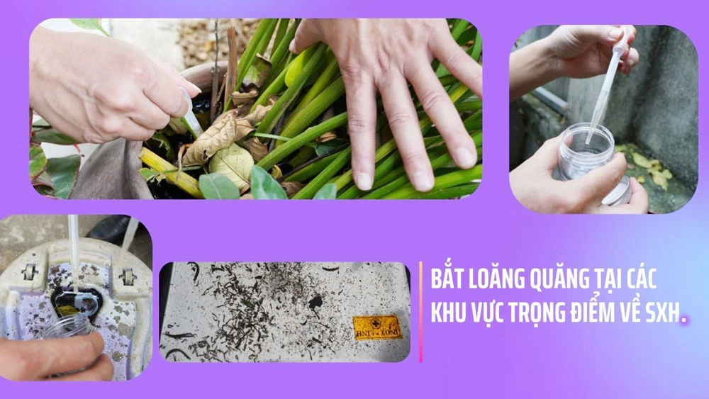 do-dam-trang-den-du-muc-ky-thuat-so-vlog-du-lich-hinh-thu-nho-youtube-5491.jpg