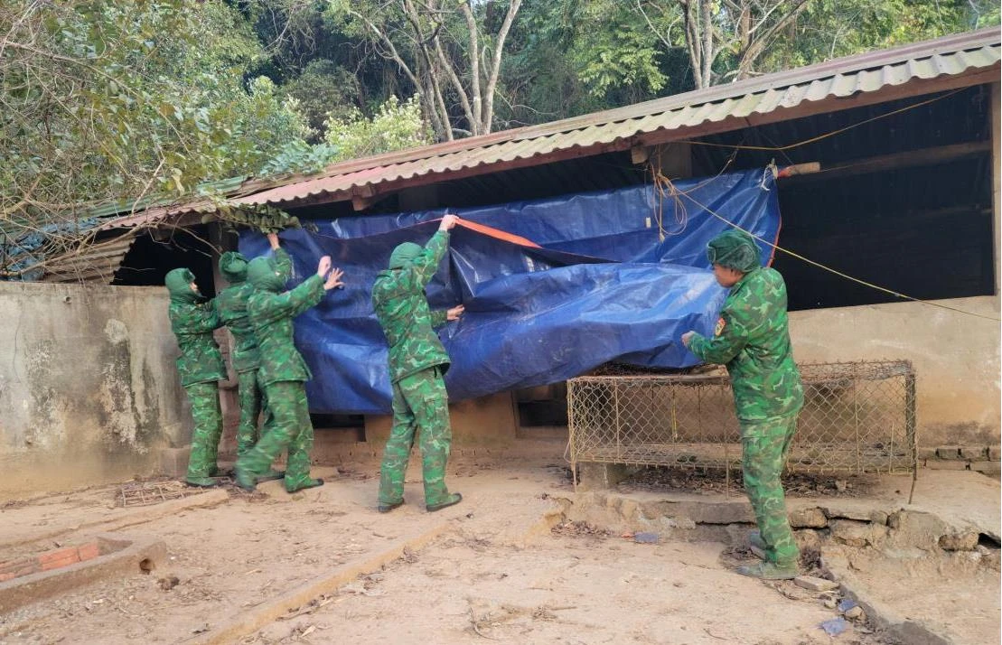 Cán bộ, chiến sĩ Đồn Biên phòng Bắc Xa, BĐBP Lạng Sơn quây bạt che kín khu vực chuồng nuôi nhốt gia súc, gia cầm của đơn vị.