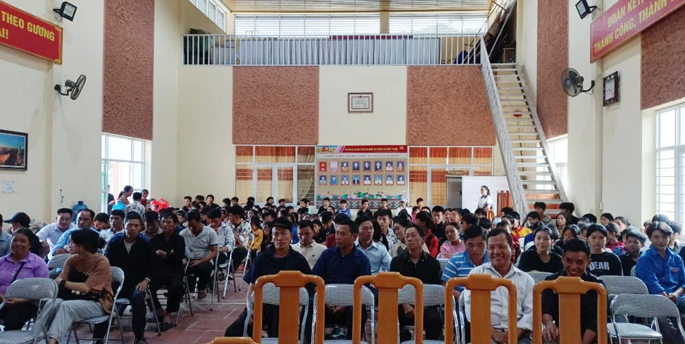1b.jpg