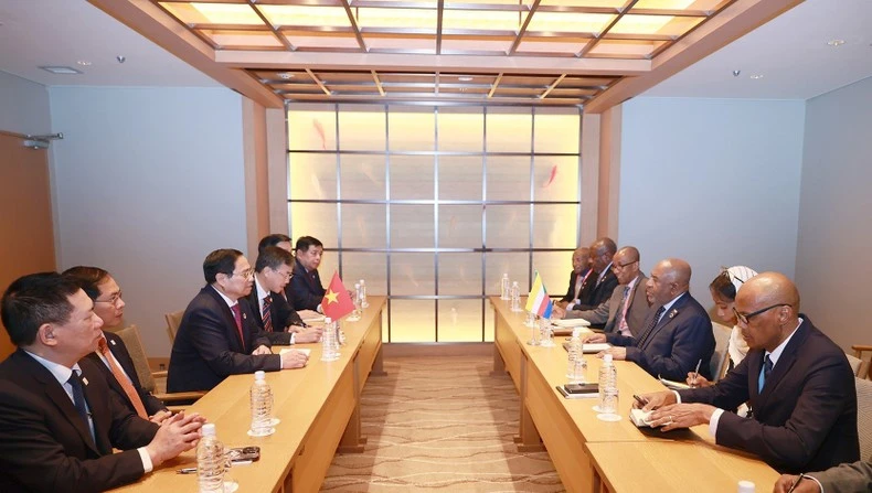 Thủ tướng Phạm Minh Chính hội kiến với Tổng thống Liên bang Comoros Azali Assoumani.