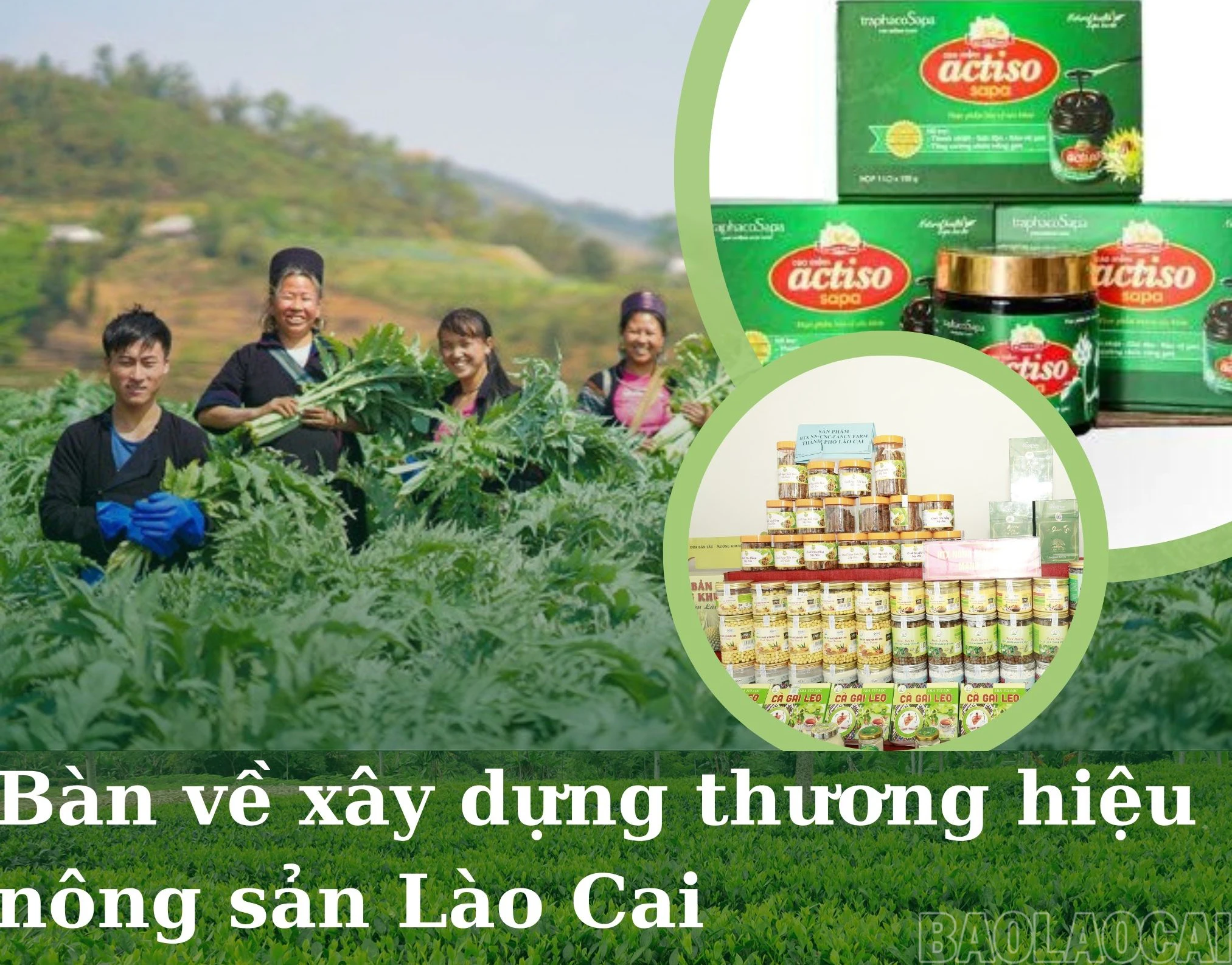 Thuong hieu1.jpg