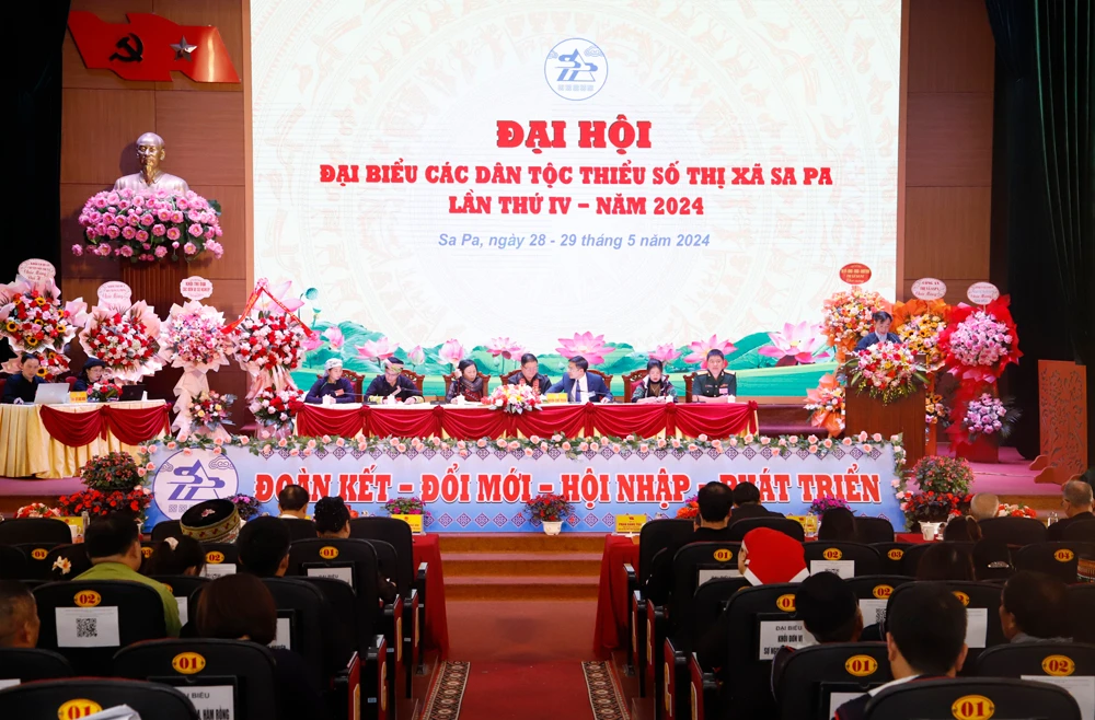 _MG_8278.JPG