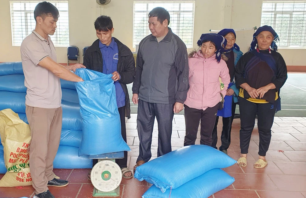Hỗ trợ gạo cho hộ nghèo đón Tết.jpg
