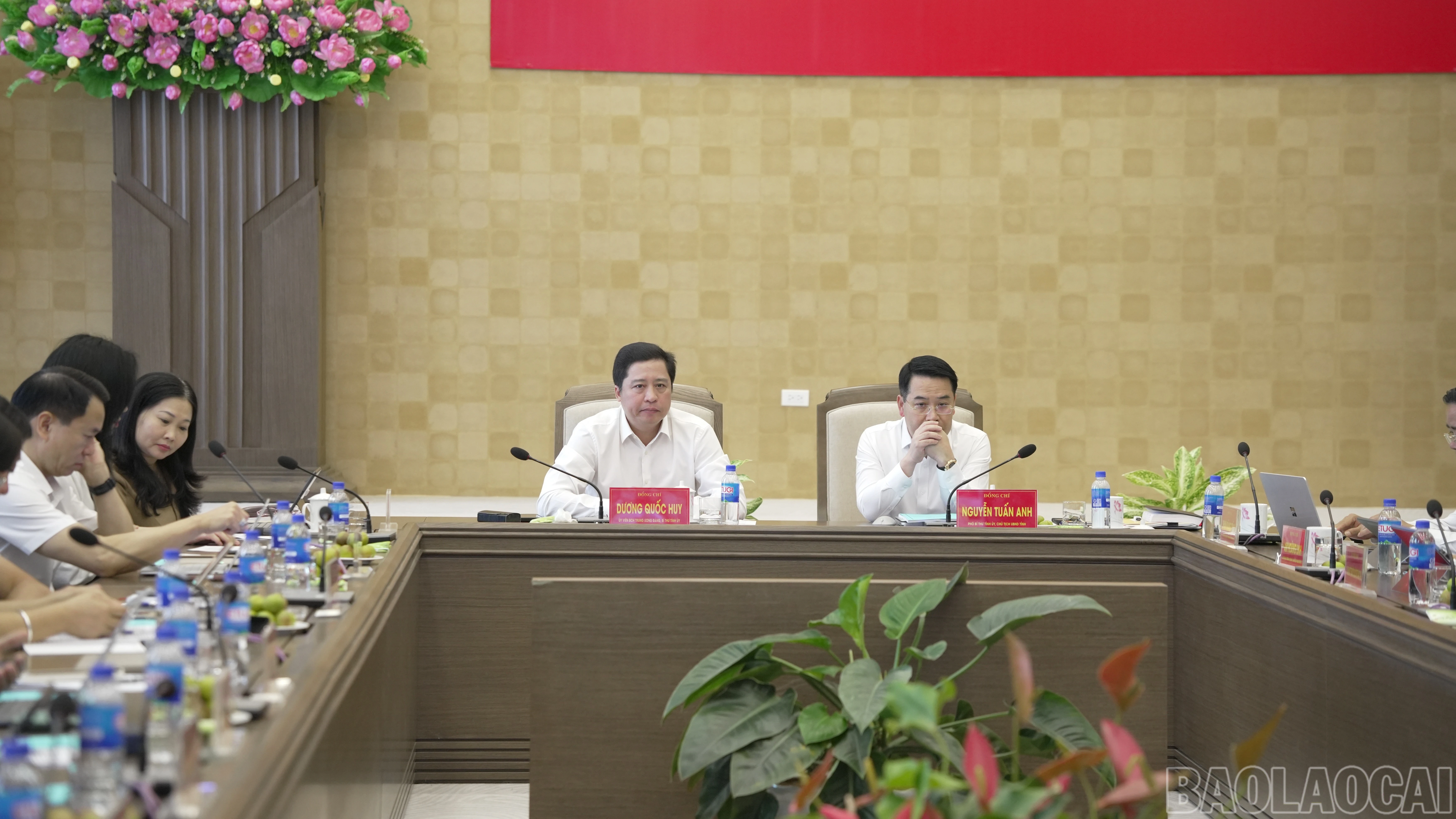 baolaocai-br_dsc09995.jpg