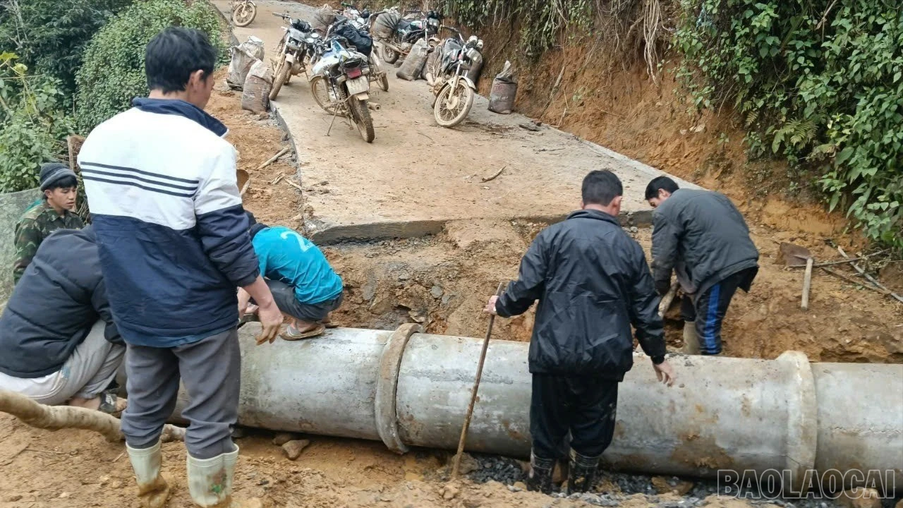 baolaocai-br_z7460681980276-4e7489011b1b82bd4fd42991c391b60b-1-9865.jpg