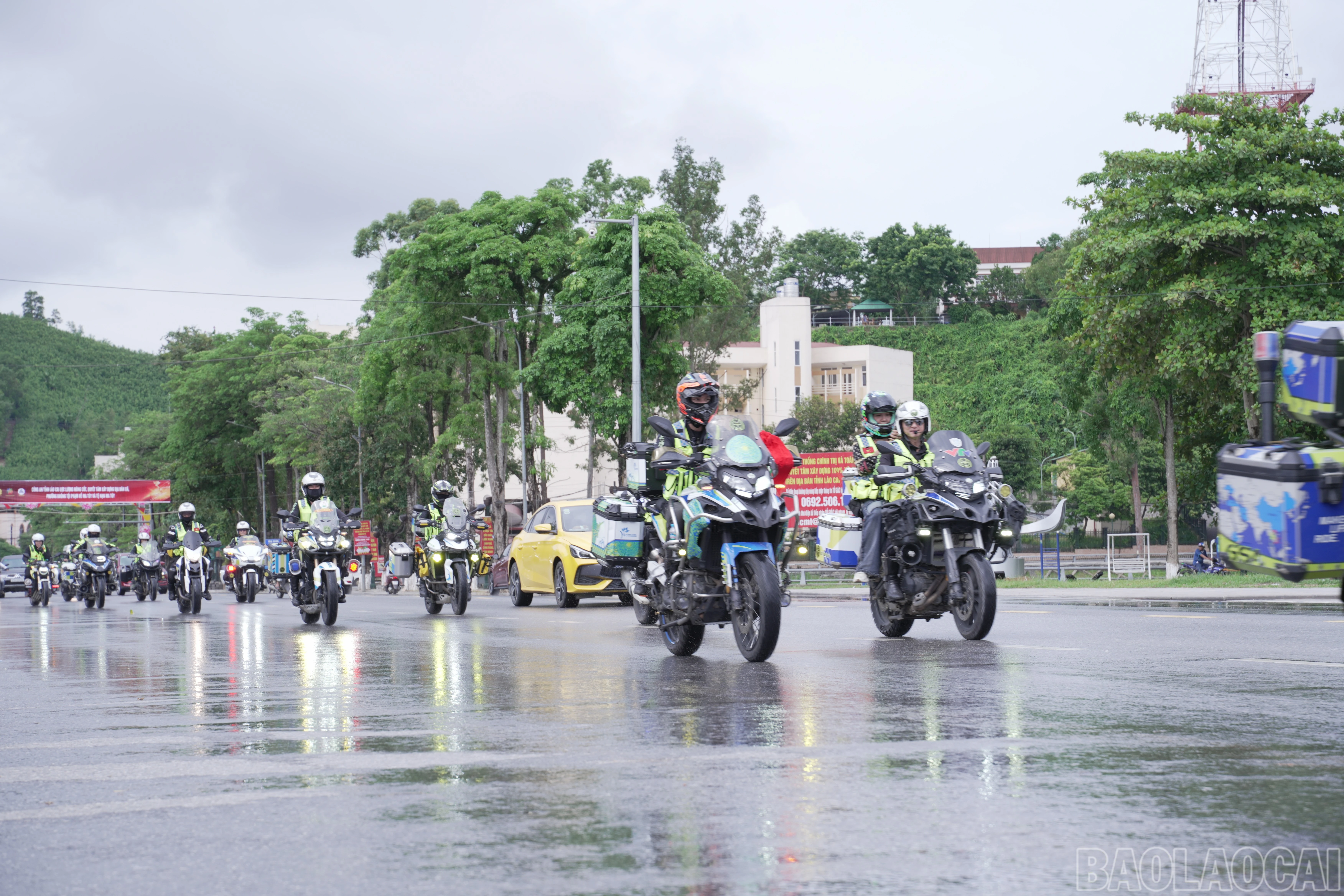 baolaocai-br_dsc09289.jpg