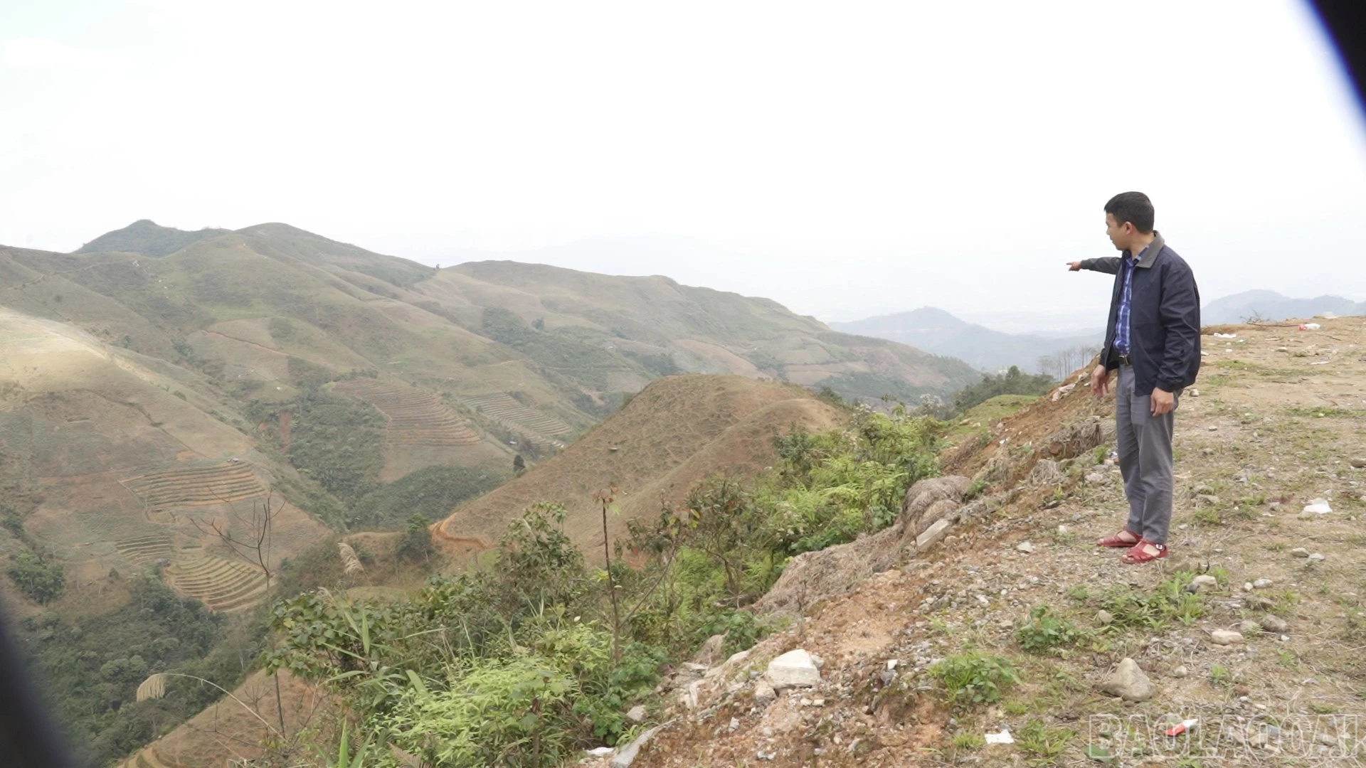 baolaocai-br_sequence-1200-36-52-00still004.jpg