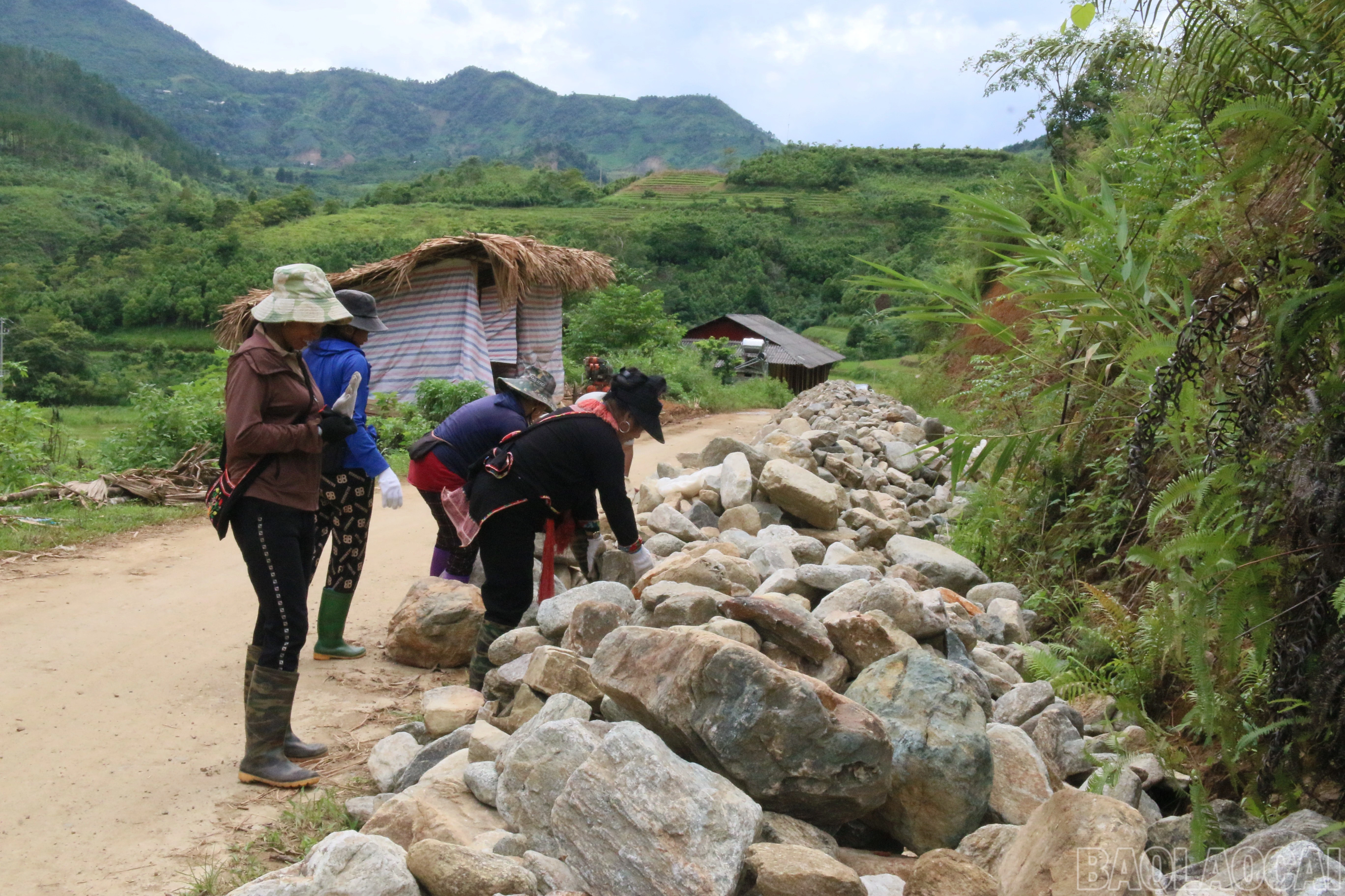 baolaocai-br_img-0257.jpg