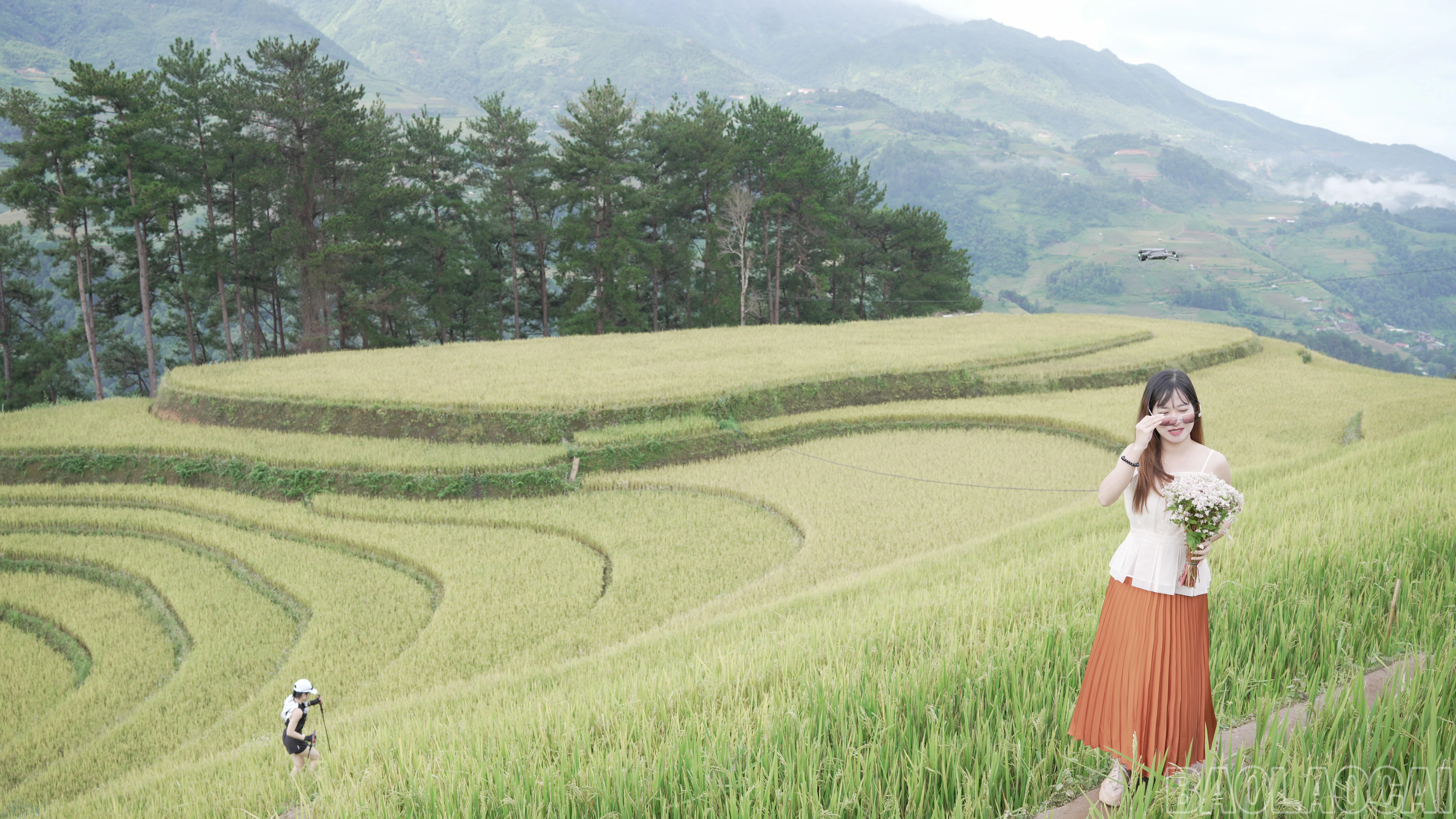 baolaocai-br_dsc00972.jpg