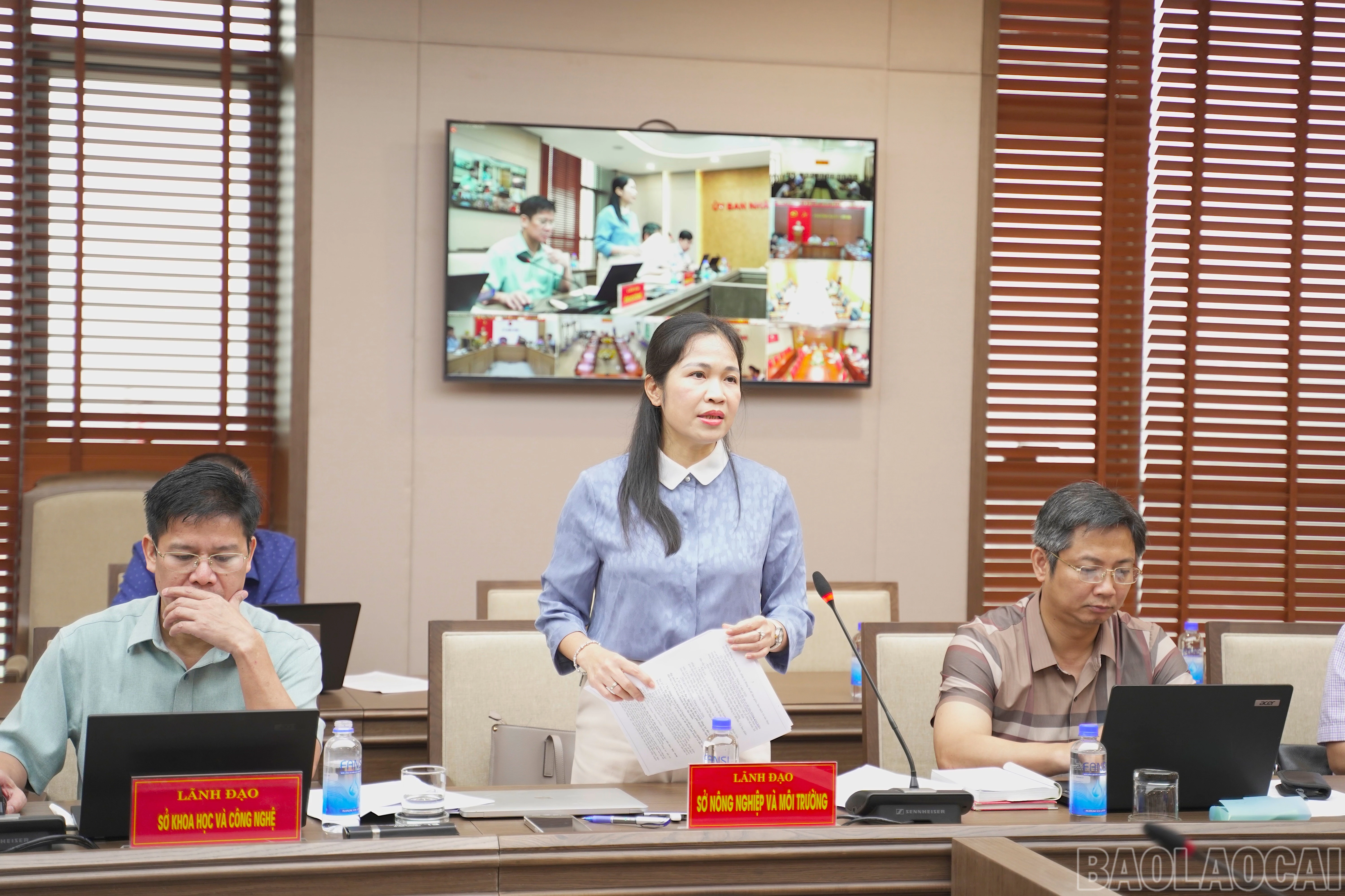 baolaocai-br_dsc0420.jpg