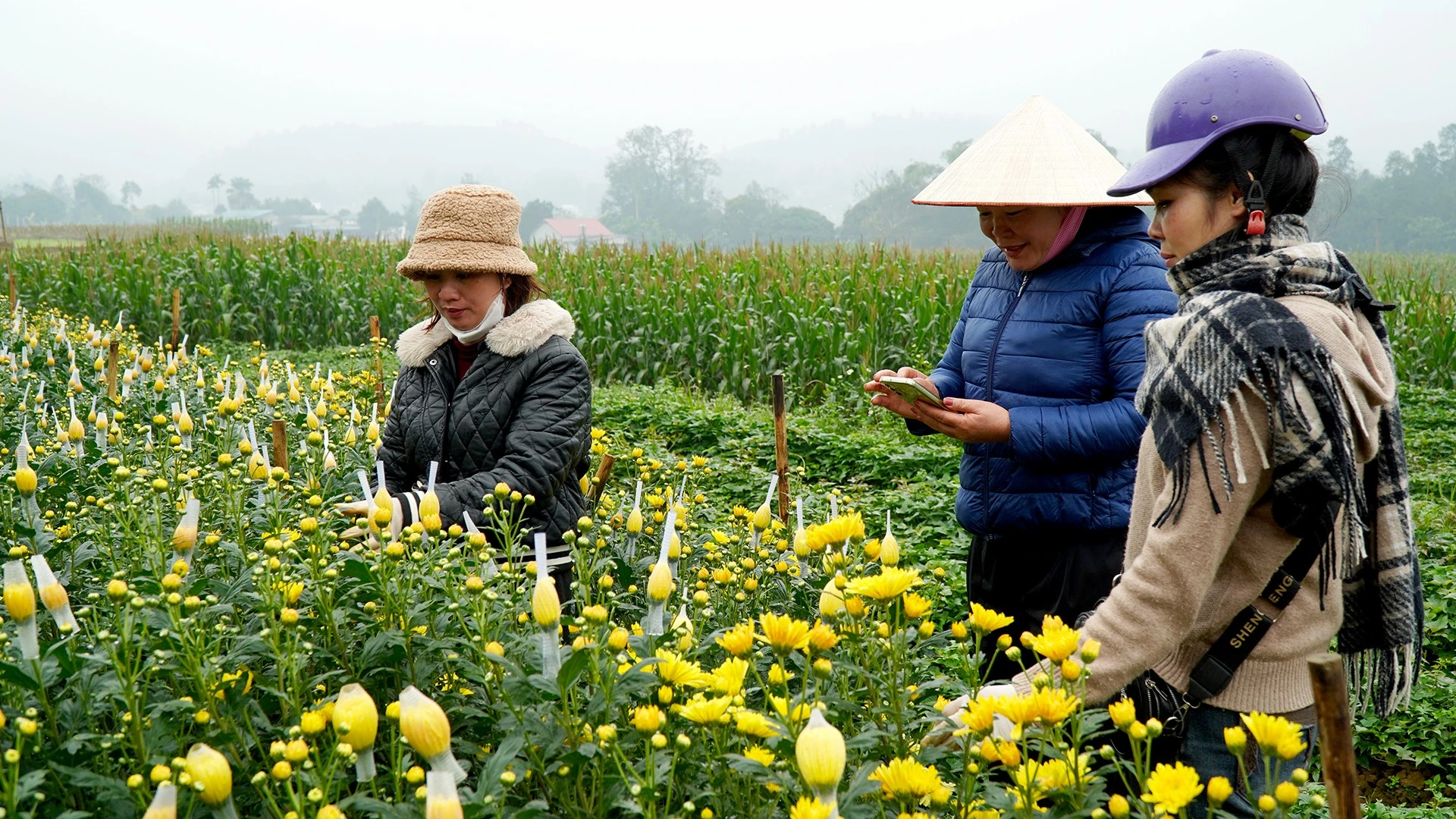 chanthinh.jpg