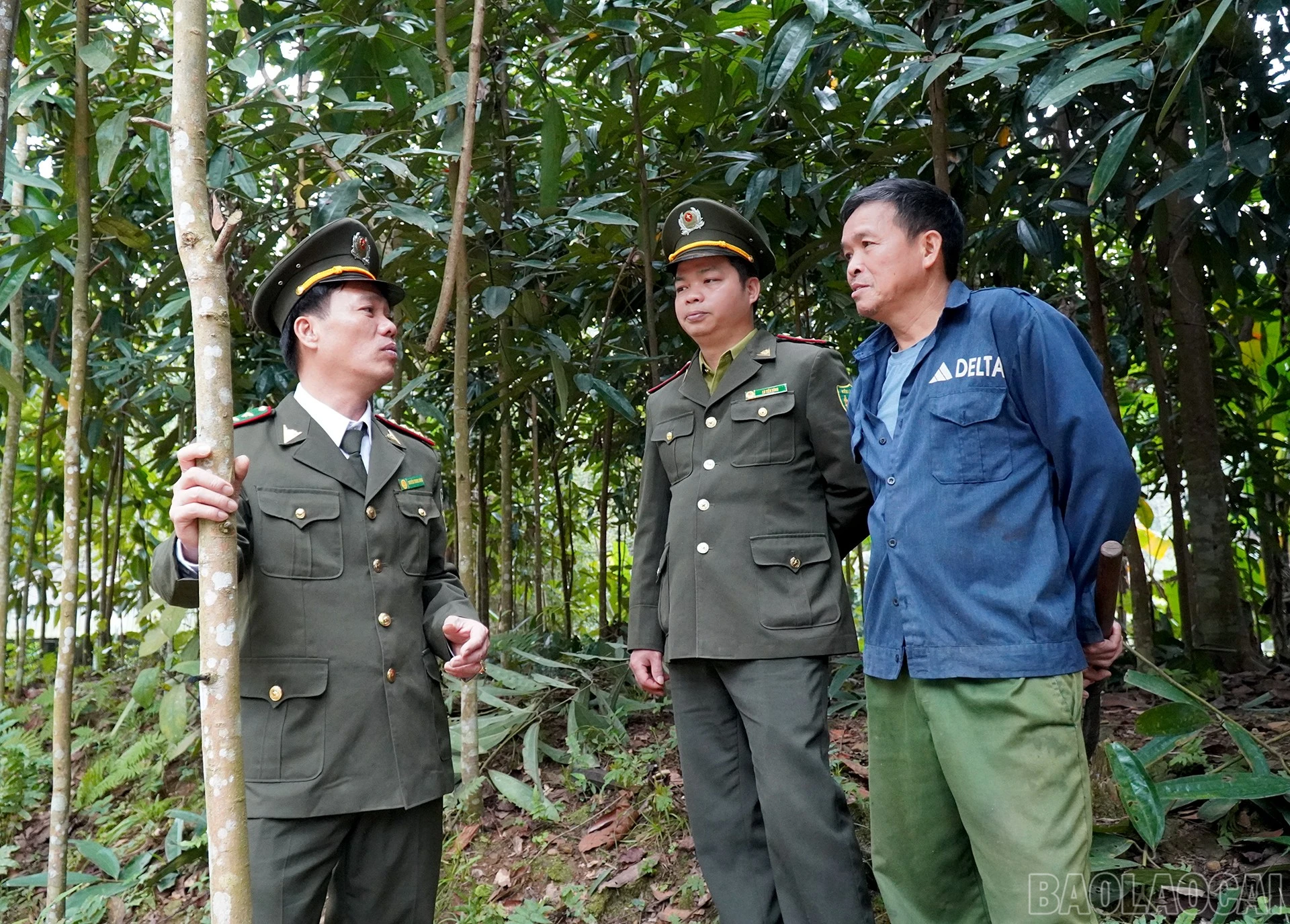 baolaocai-br_huongdan.jpg