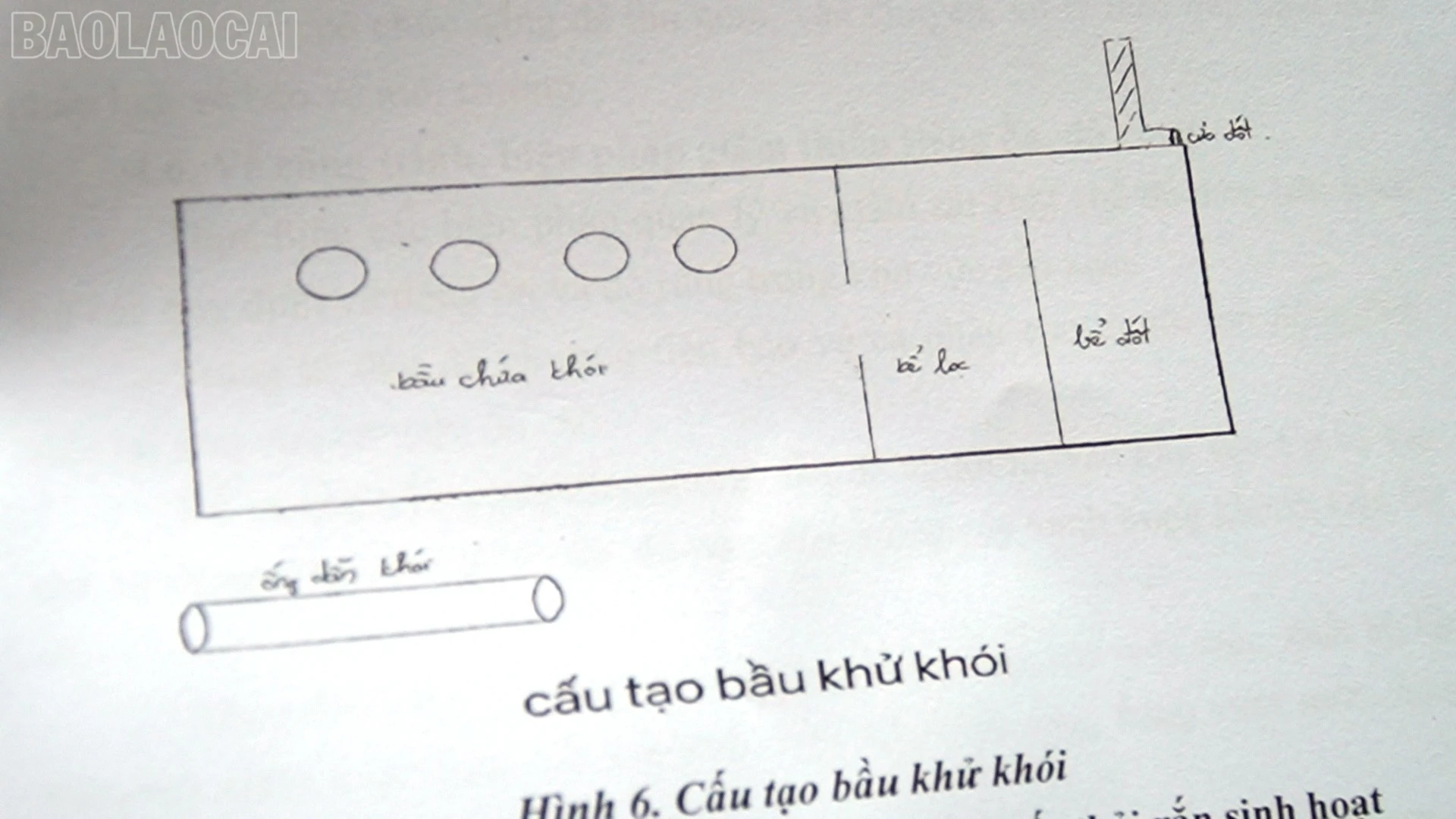baolaocai-tl_khoi.jpg