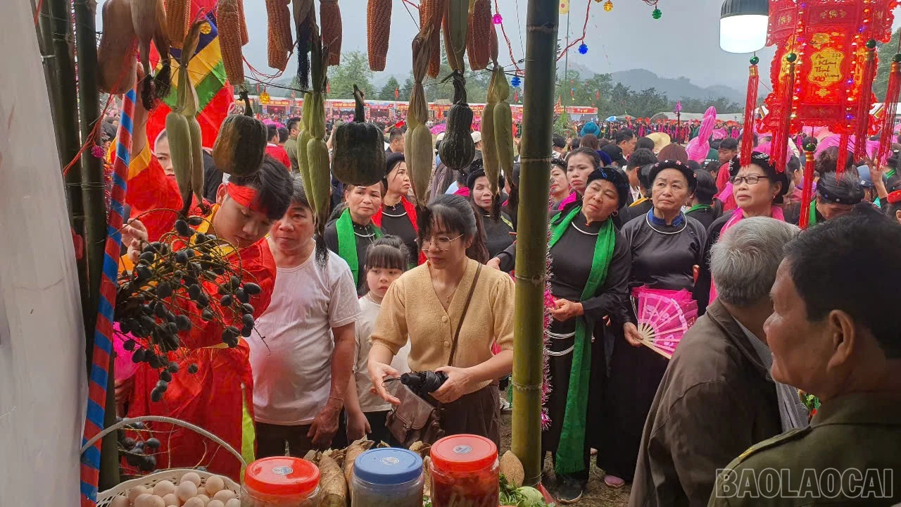 baolaocai-br_thothonhan.jpg