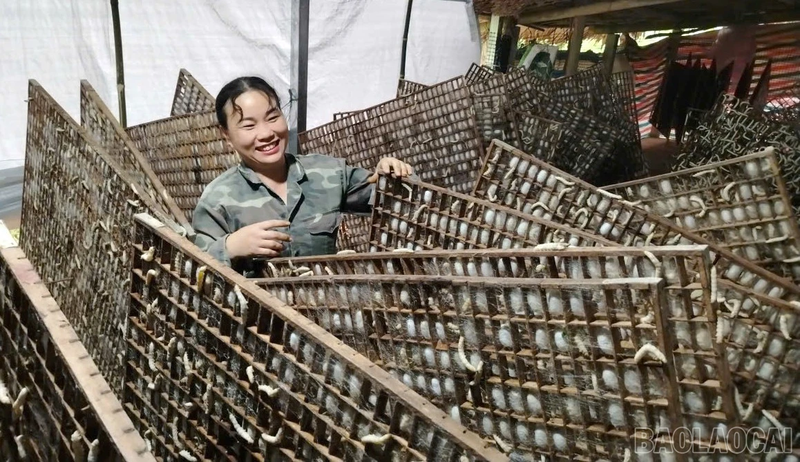 baolaocai-br_kentam.jpg