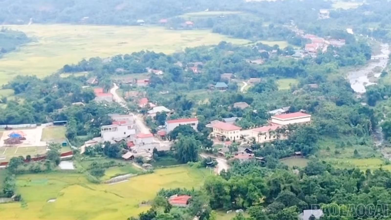 baolaocai-br_3.jpg
