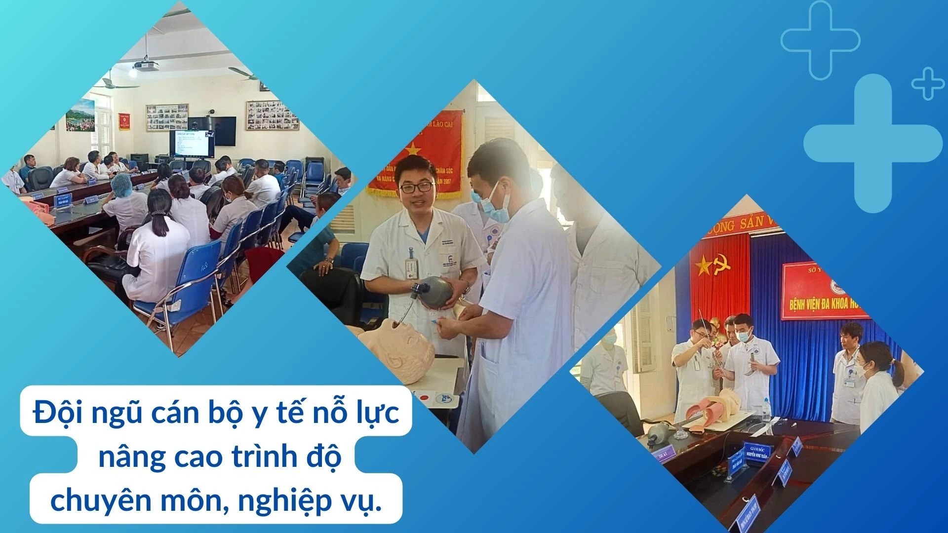 z5310821207080_ff4bfe5364142de19b006d90d2170275.jpg