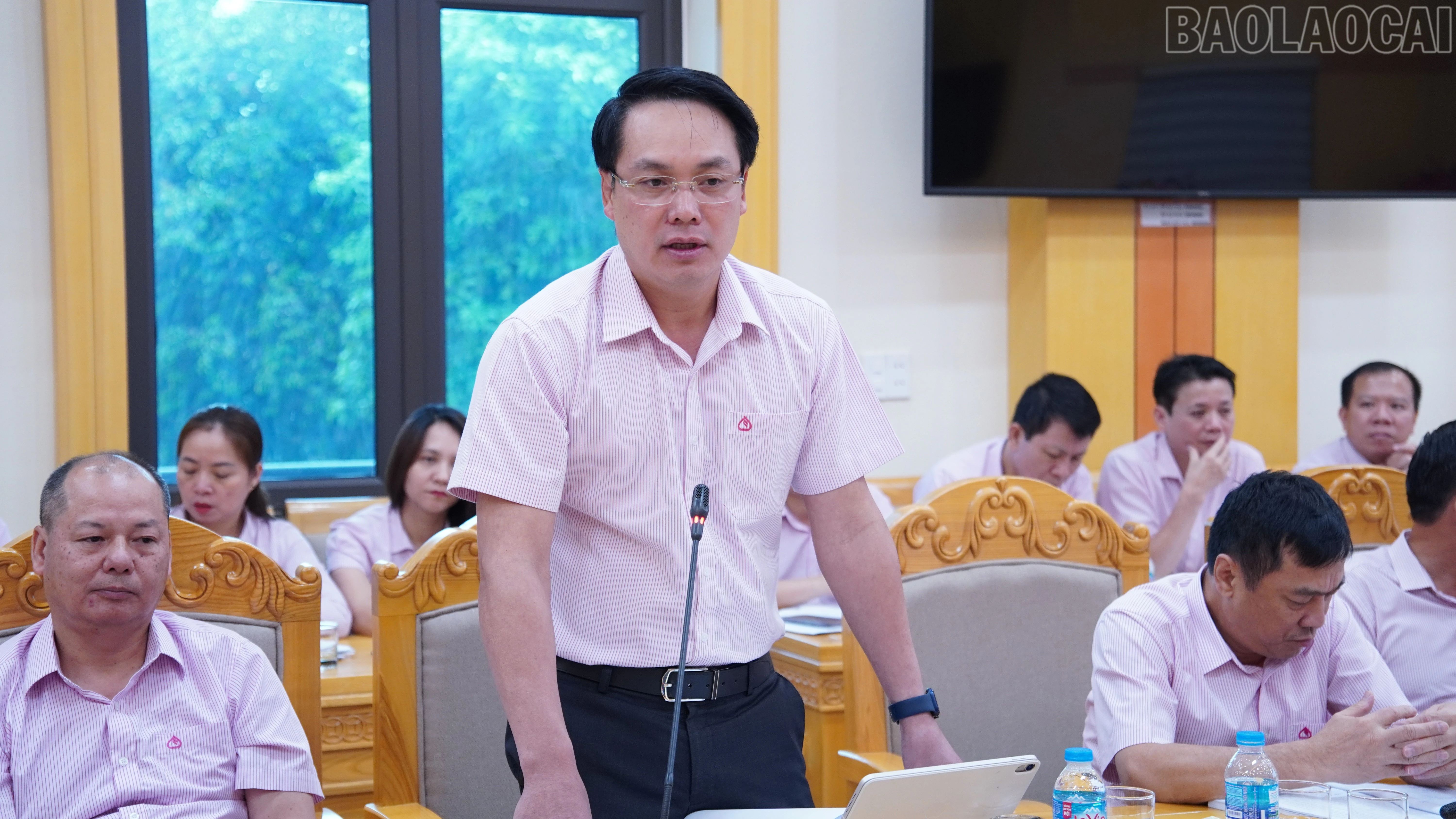 baolaocai-tr_nh11.jpg