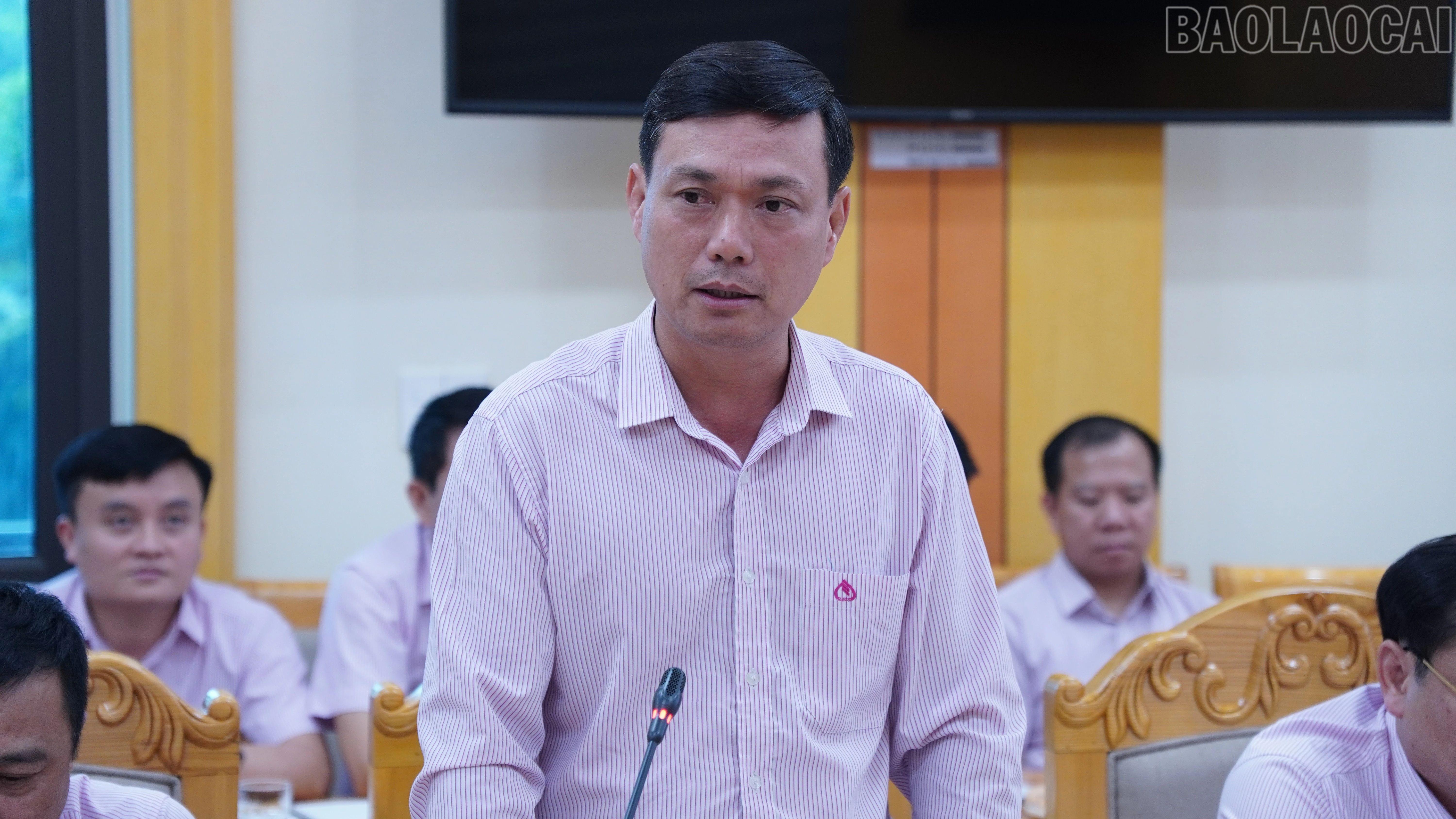 baolaocai-tr_nh13.jpg