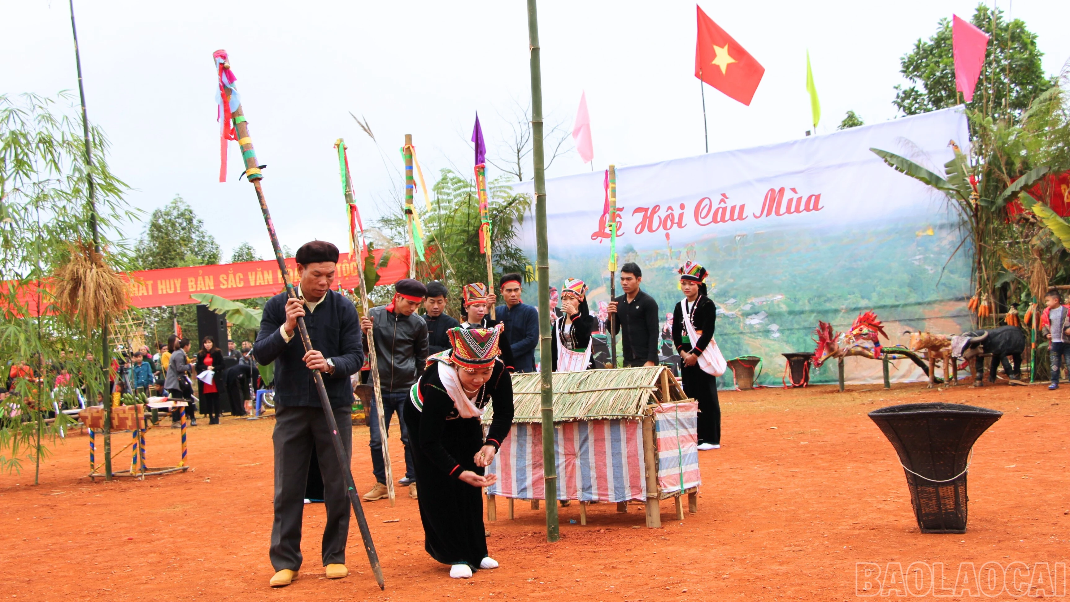 baolaocai-br_fd1f4420-79e4-485f-bfd5-82793f7989bd.jpg