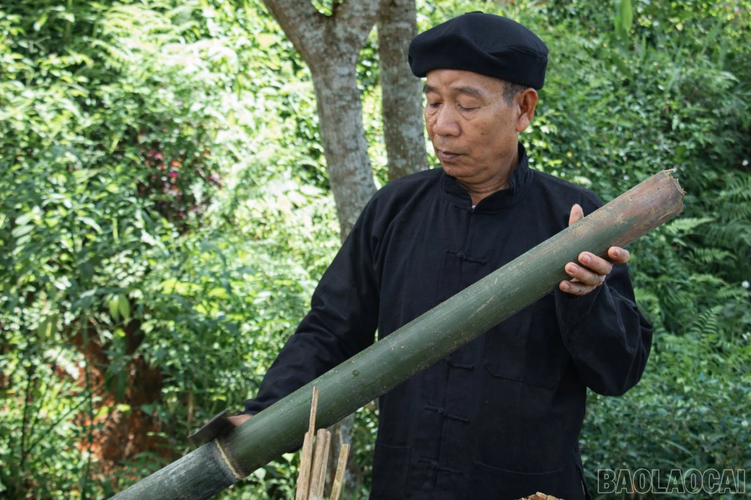 baolaocai-br_vvs.png