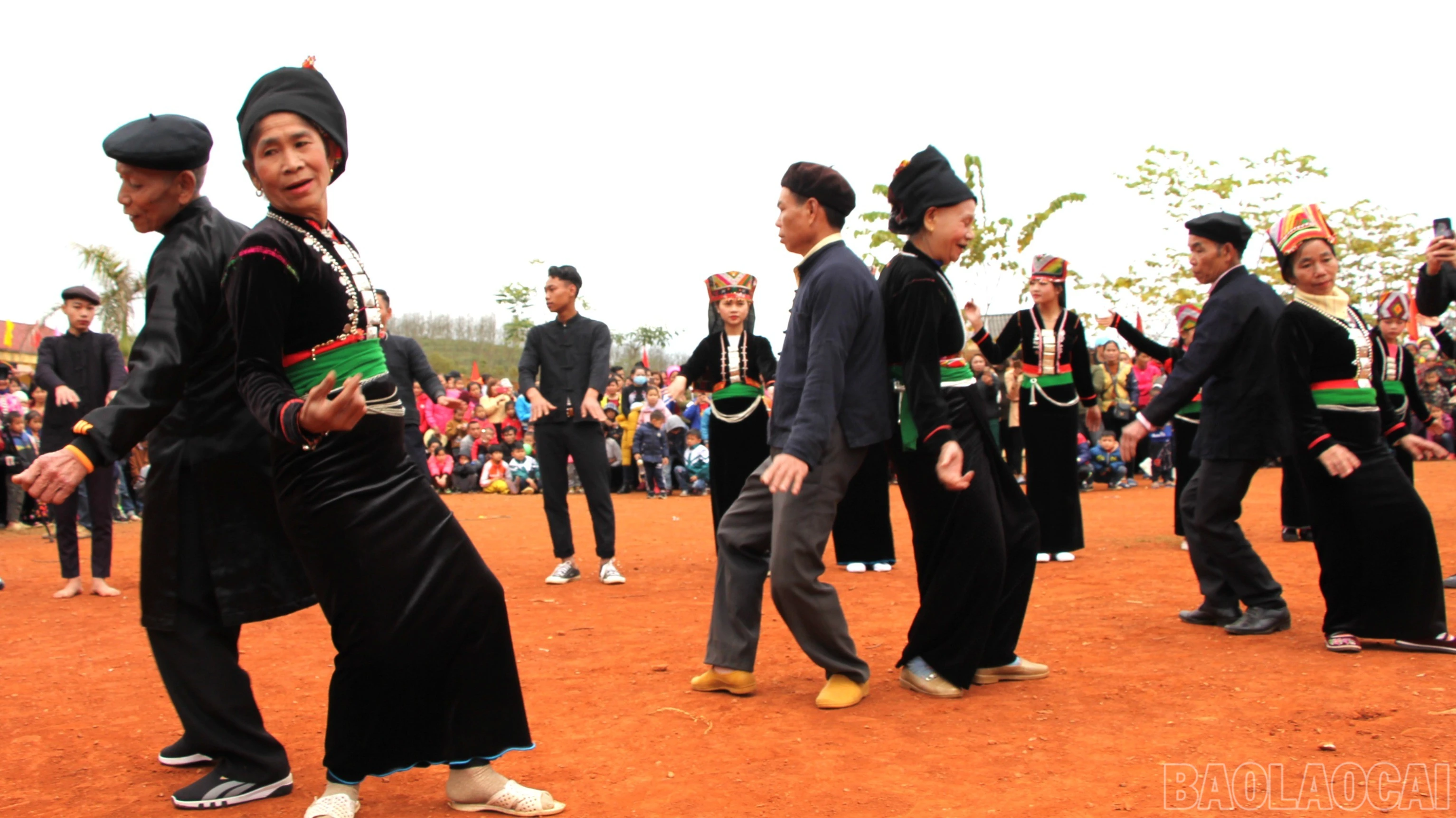 baolaocai-br_img-6650.jpg