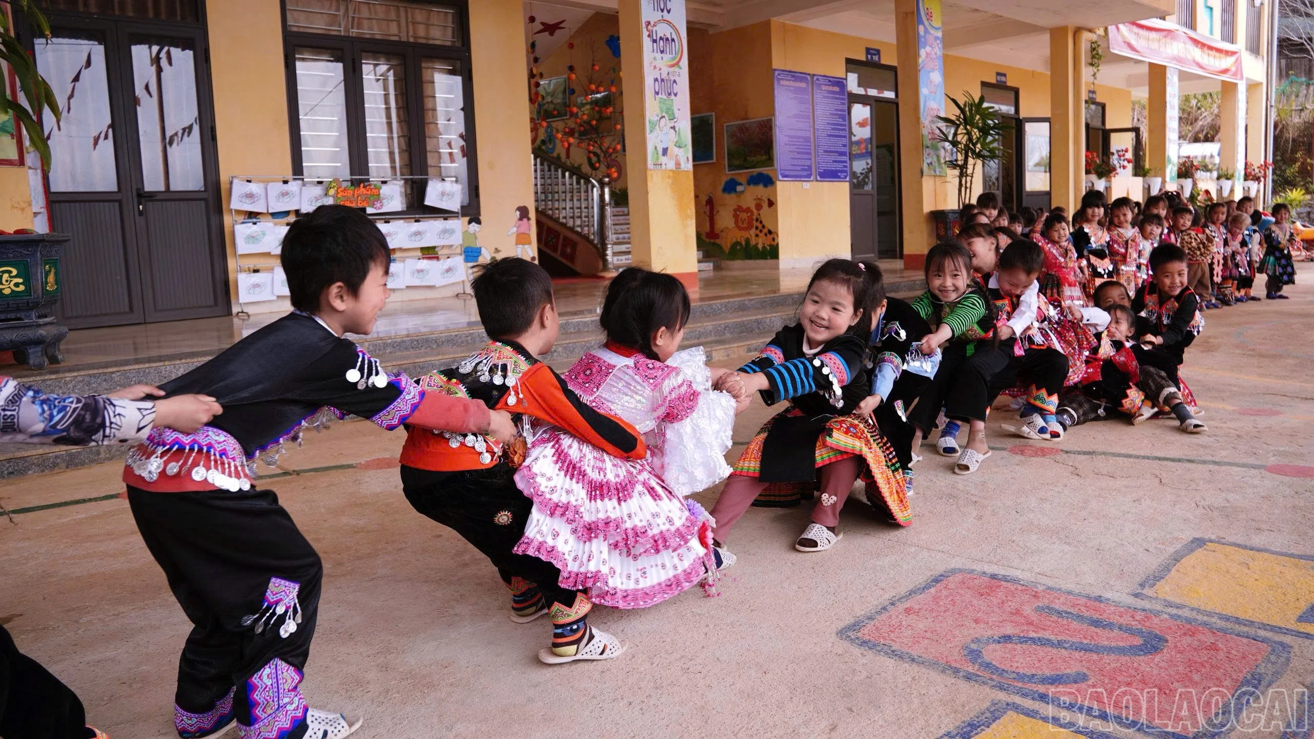 baolaocai-br_z7501005324254-b5b81e0ab64234be6338cec65cb36d06.jpg