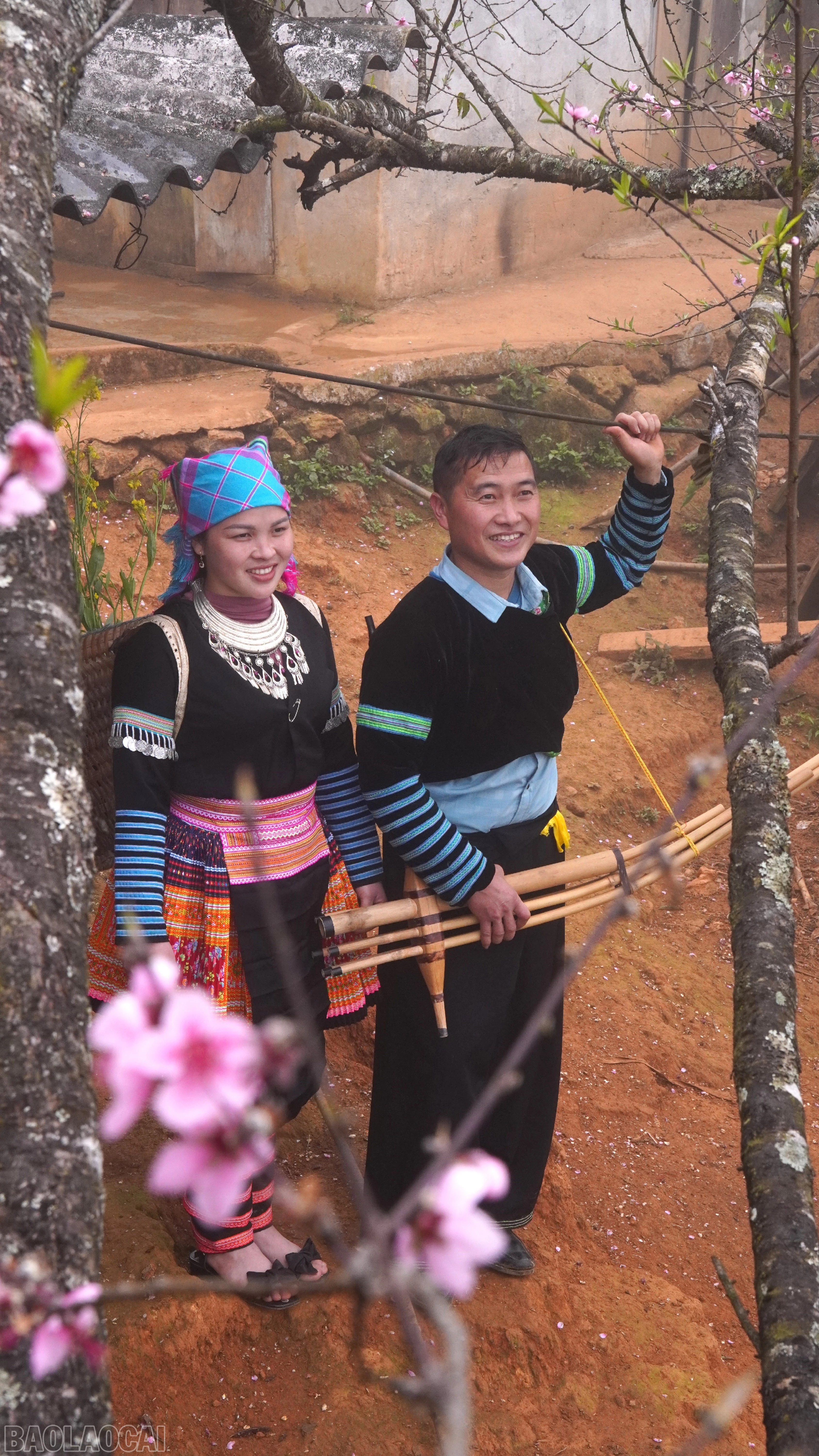 baolaocai-bl_fpt05075.jpg
