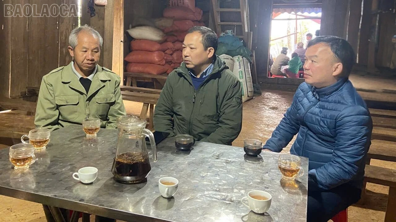 baolaocai-tl_a451f9a9-dc65-4f83-8cb7-cd02dc0682cf.jpg