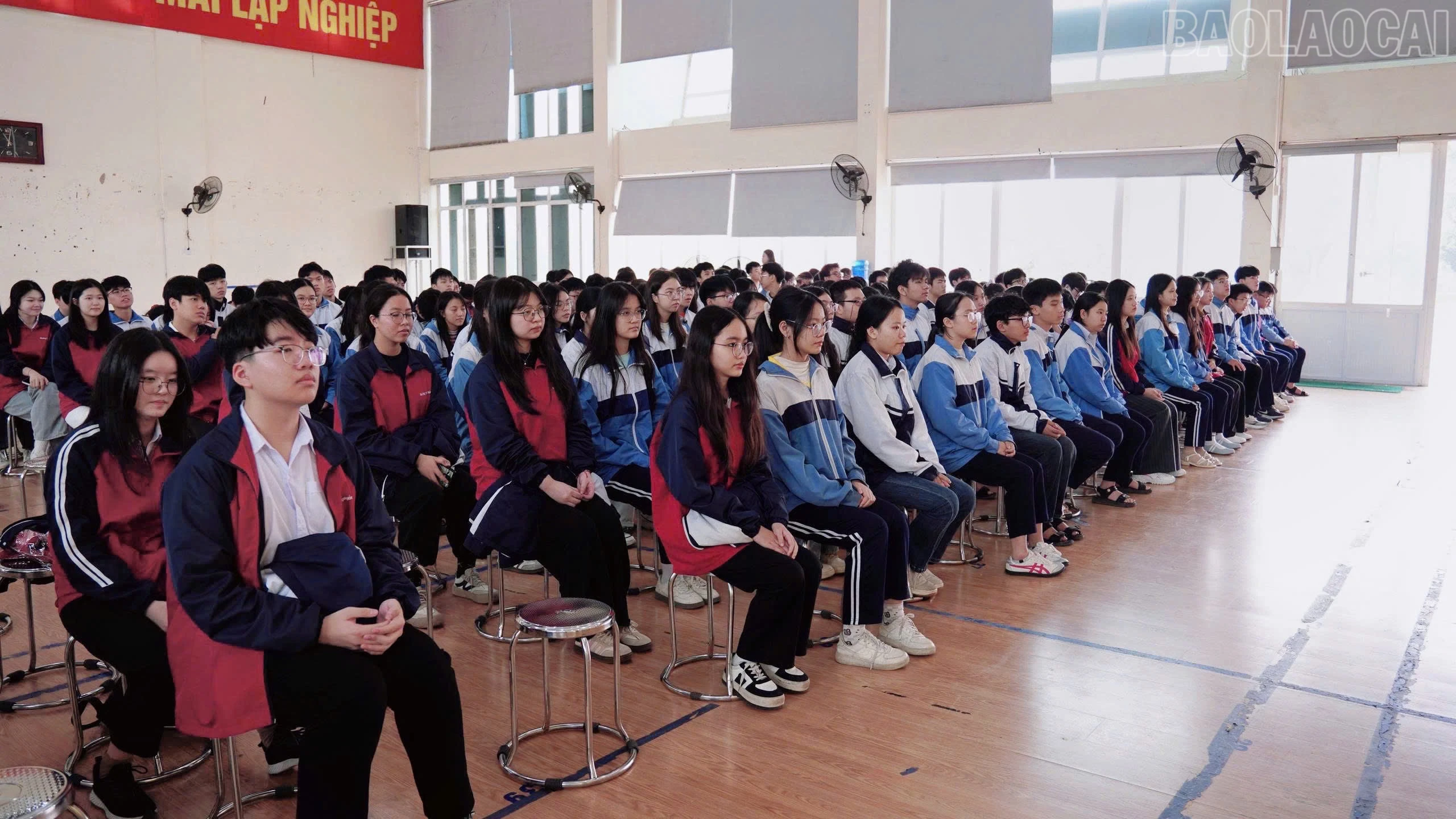 baolaocai-tr_z7359791071840-69ac3ad88fd7e33f9ba30898322fd3b9.jpg