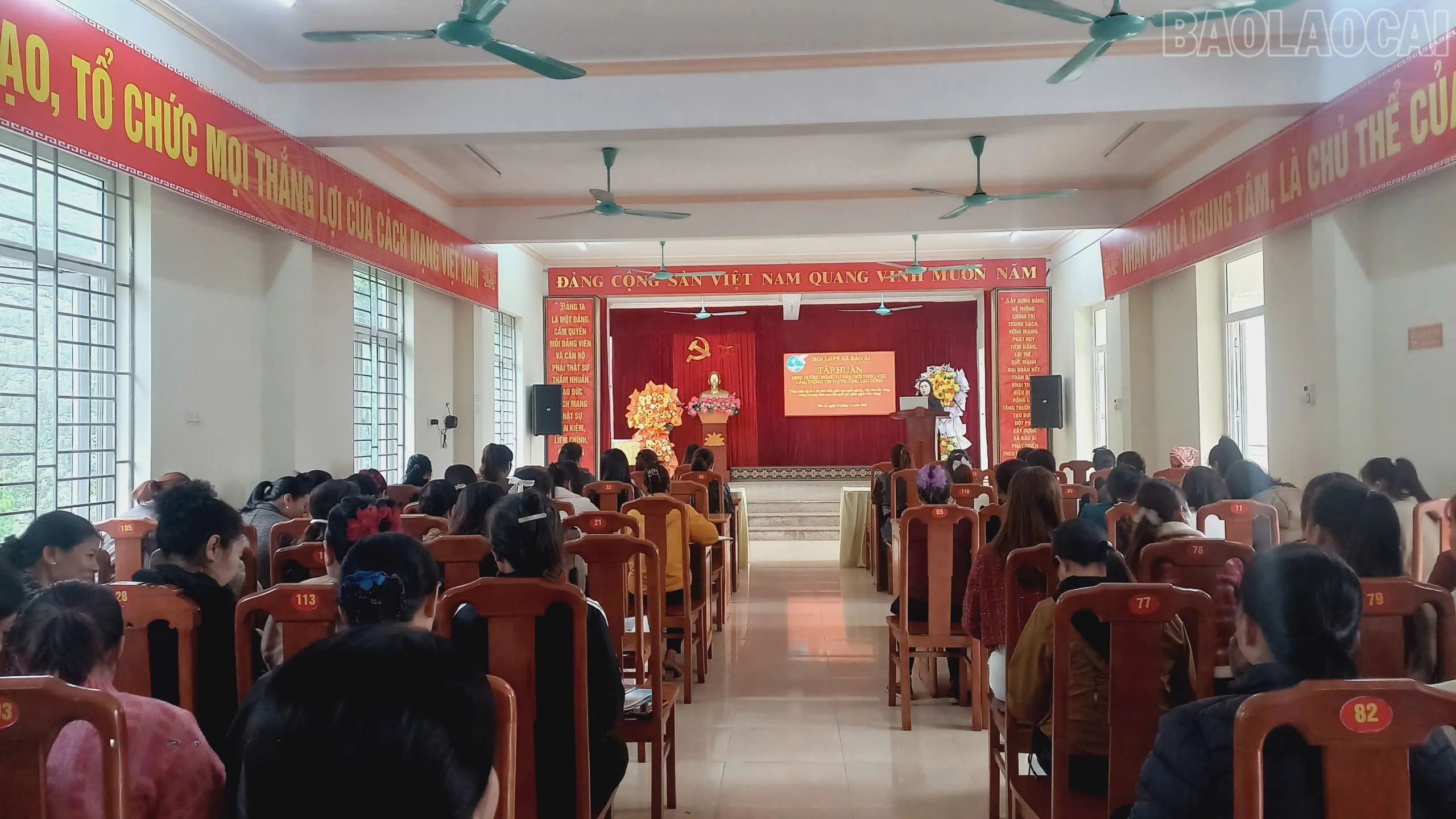 baolaocai-tr_d4c3fb3d-7dc6-4fea-a977-85cdbc56c856.jpg