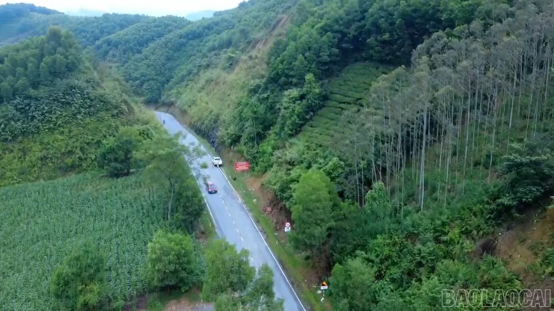 baolaocai-br_gt3.jpg