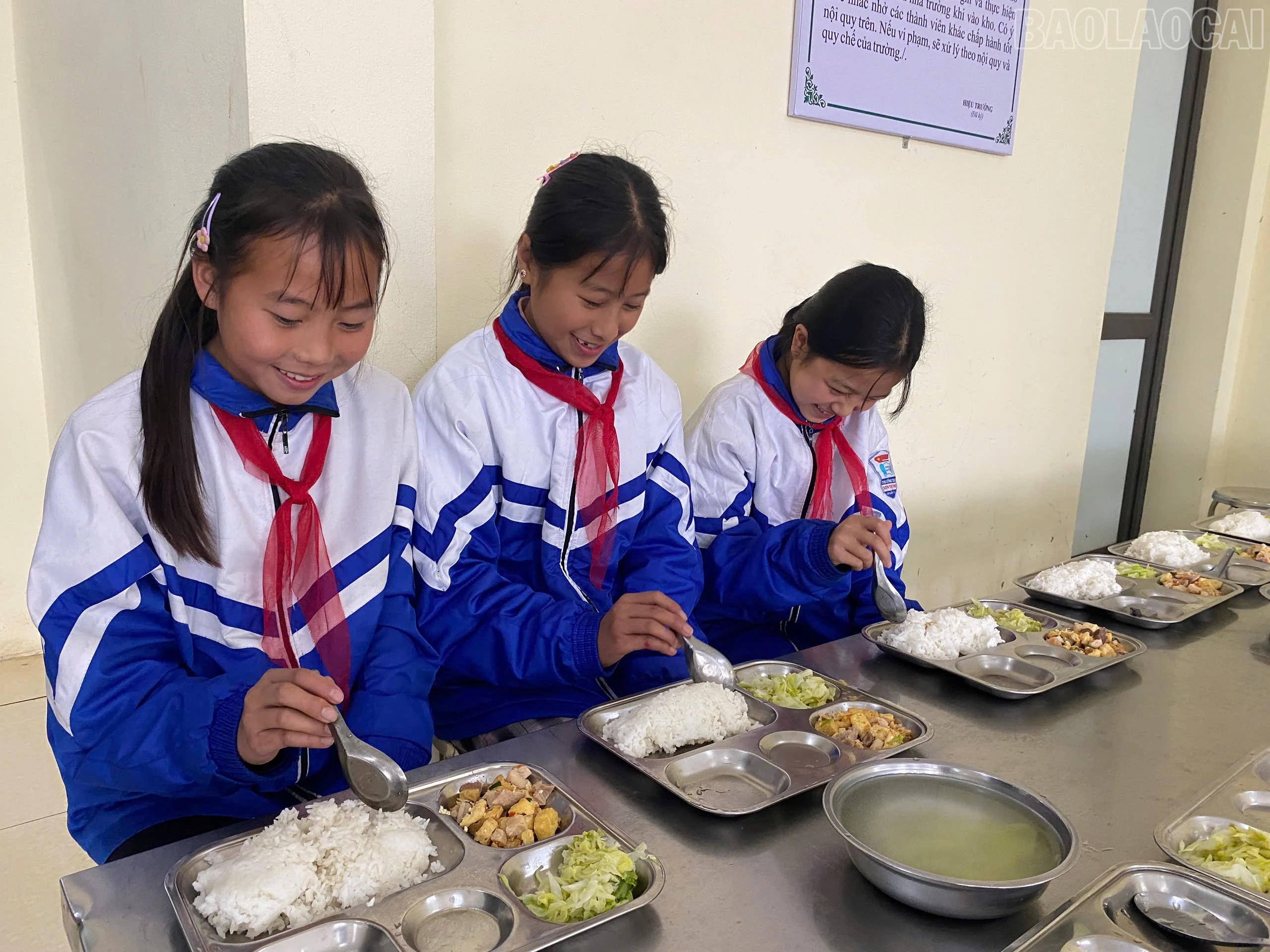 baolaocai-tr_z7396149811317-163cfc92cfb8b4324c5b81f916fa69a2.jpg