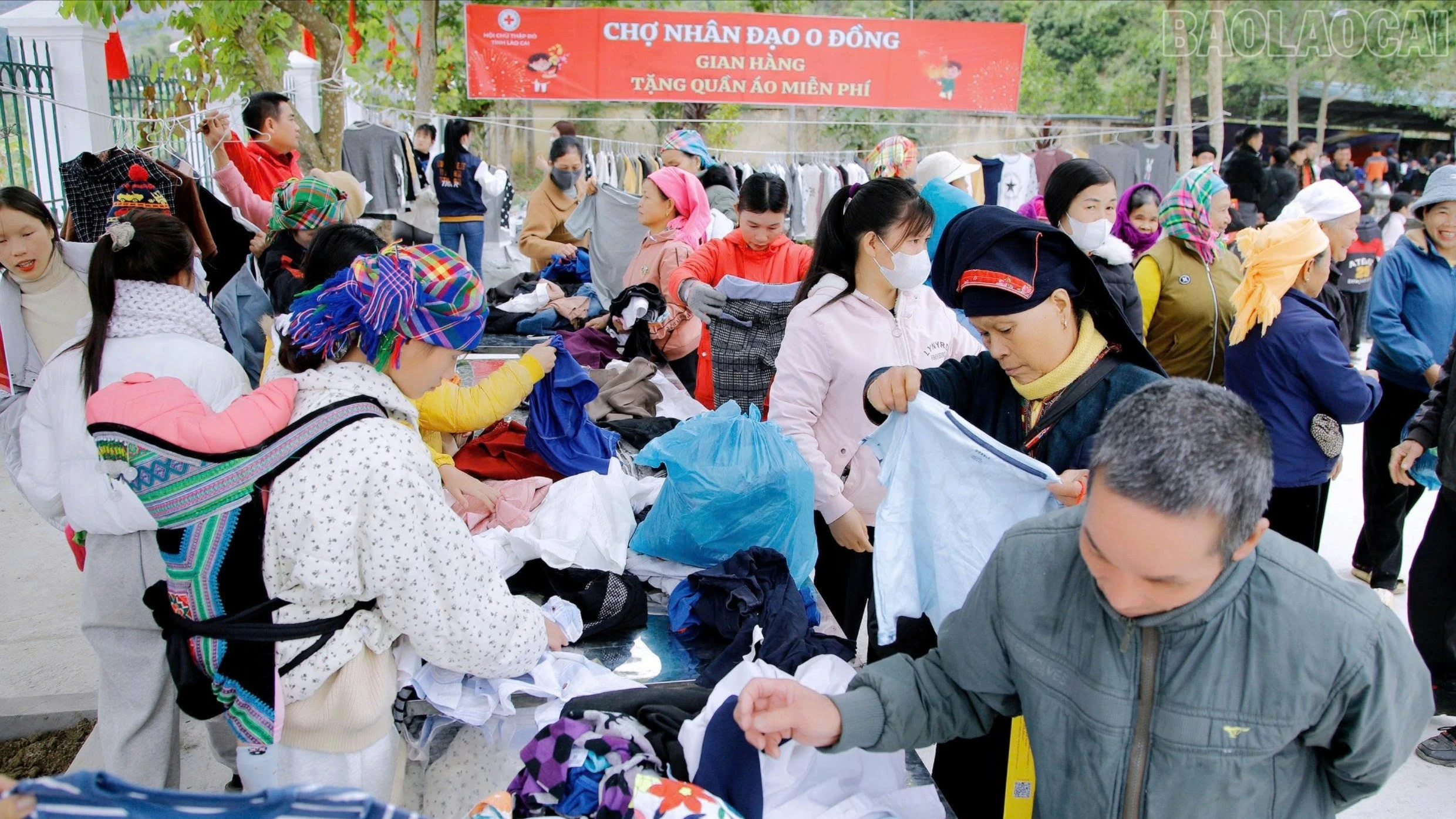 baolaocai-tr_z7479327147399-0ff913b9a98d8d1585f62b4ac6b999f8-9078.jpg