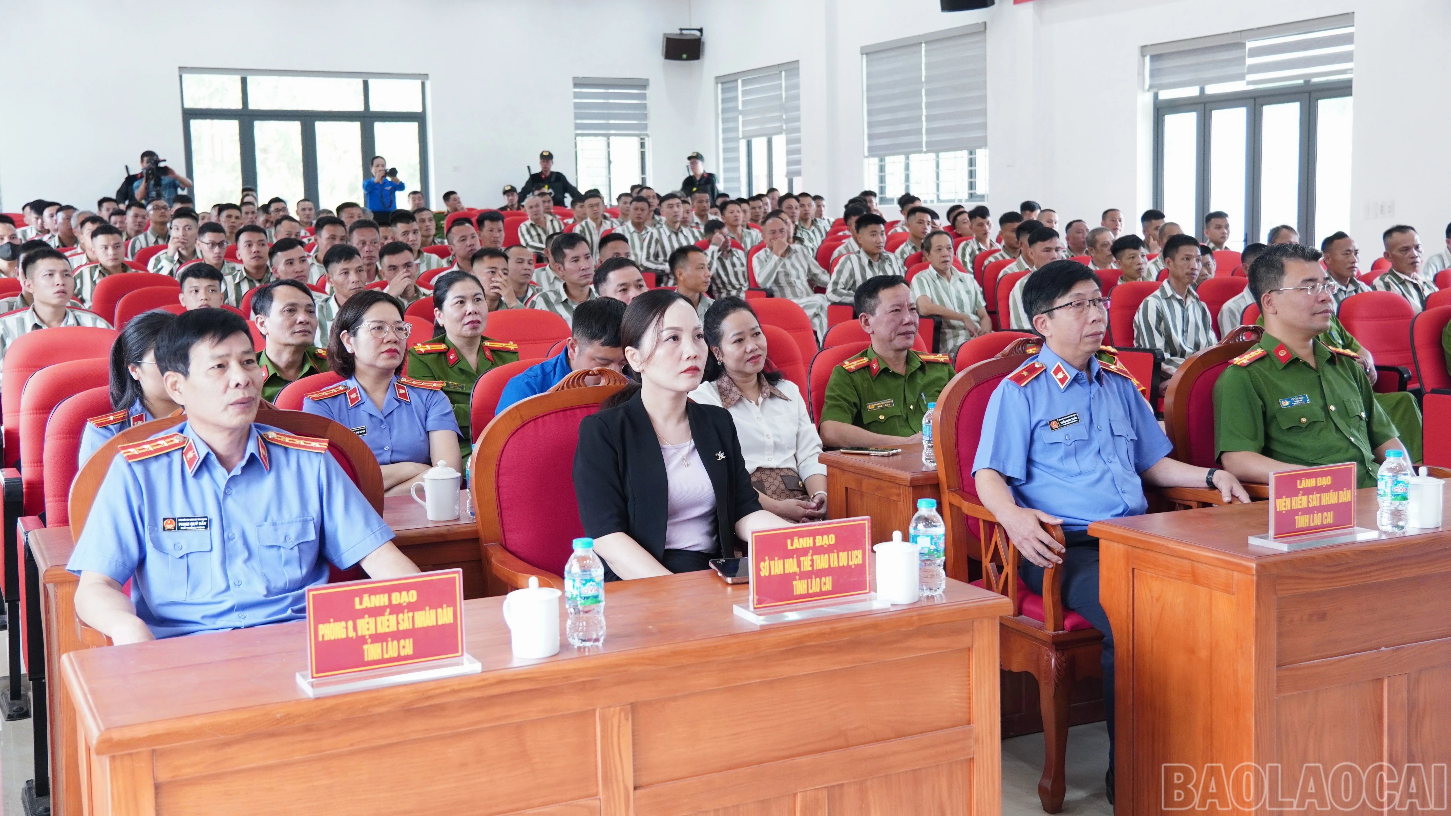 baolaocai-br_fpt03784.jpg
