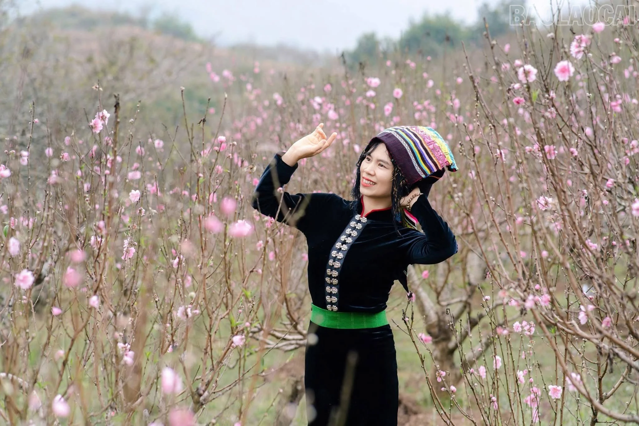 baolaocai-tr_img-2749.jpg