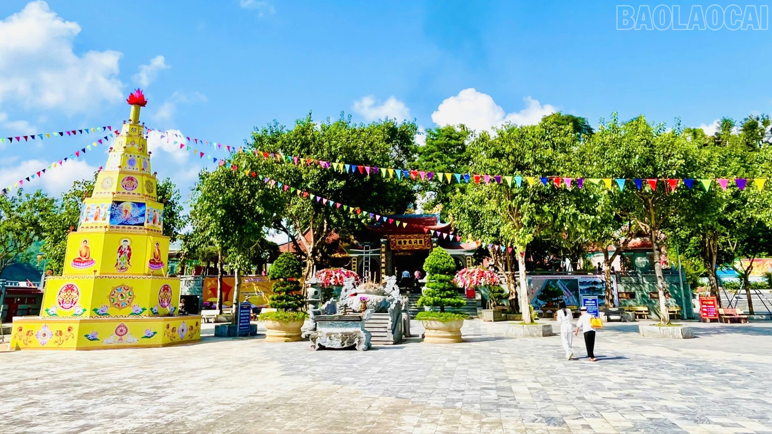 baolaocai-tr_z7443135269860-b33c5fe594122945d209cc753c42f4a9-5718.jpg