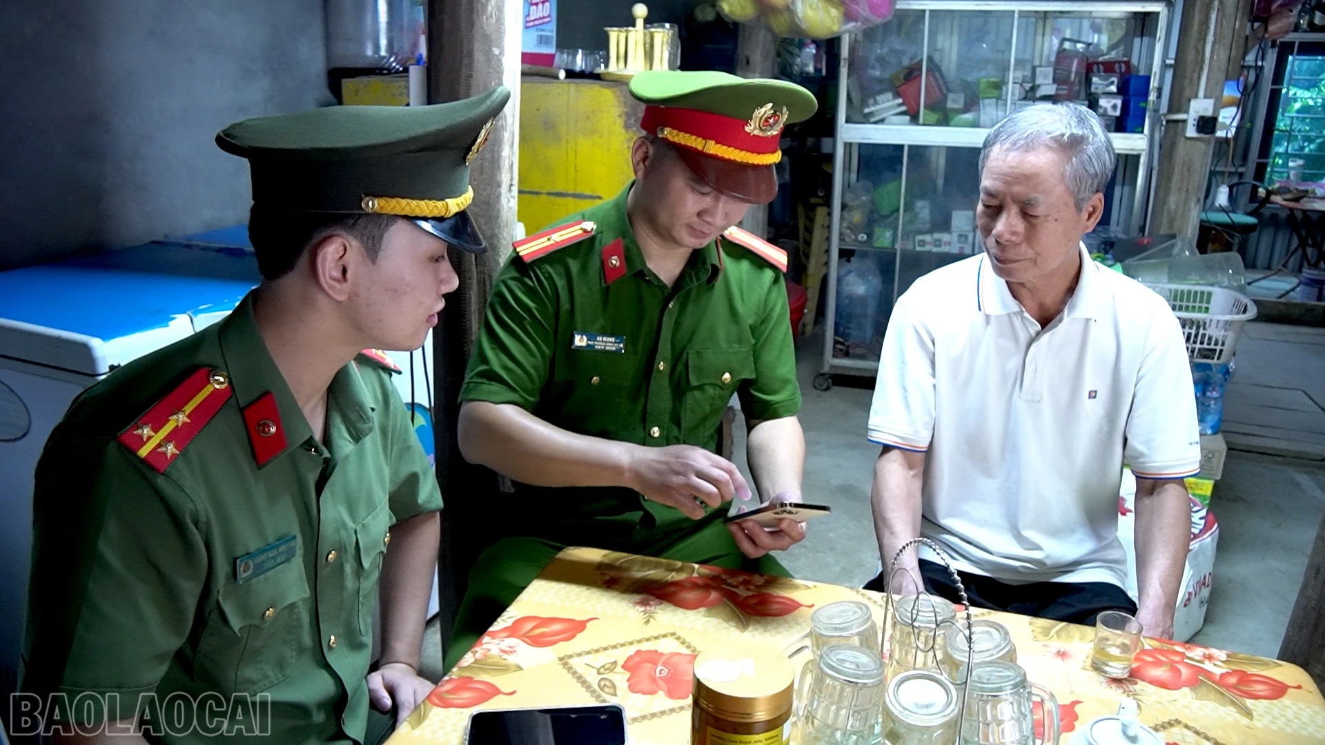 baolaocai-bl_catt123.jpg