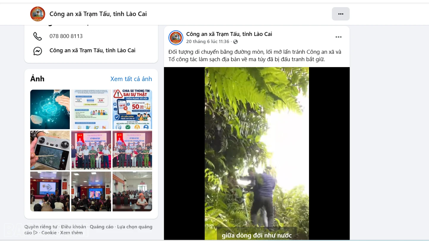 baolaocai-bl_screenshot-2026-06-29-105131.png